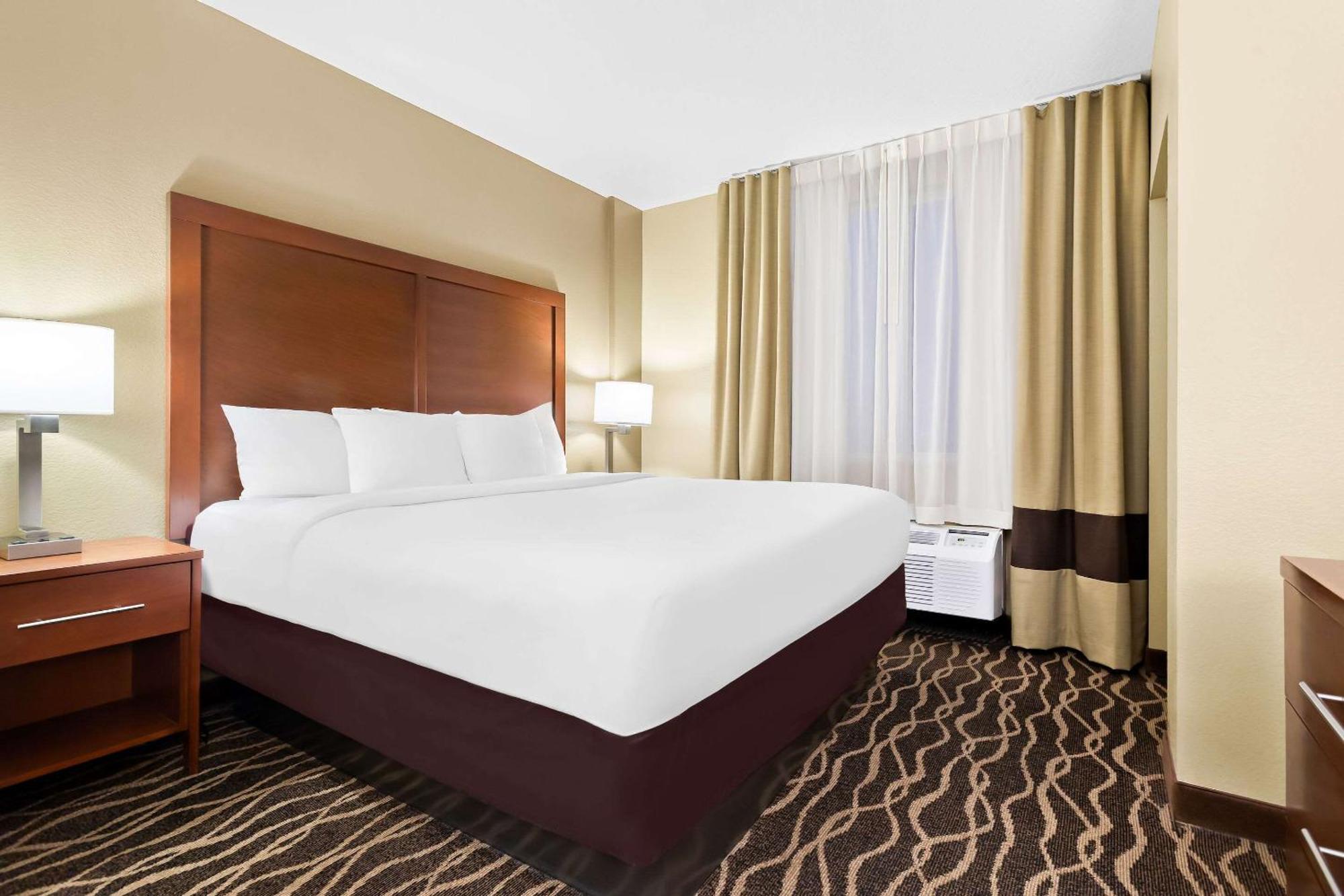 Comfort Tampa Airport North Hotel