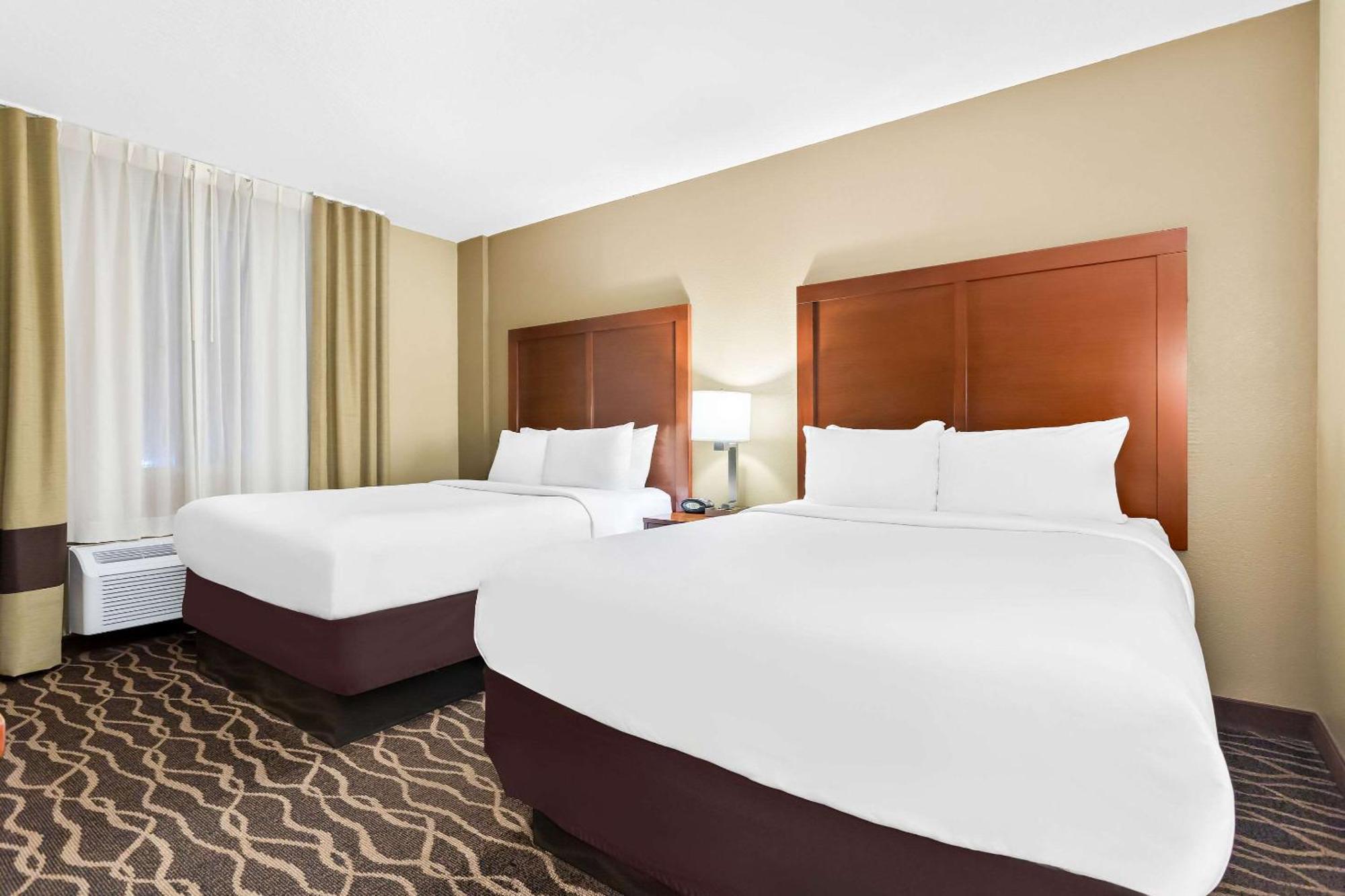 Comfort Tampa Airport North Hotel