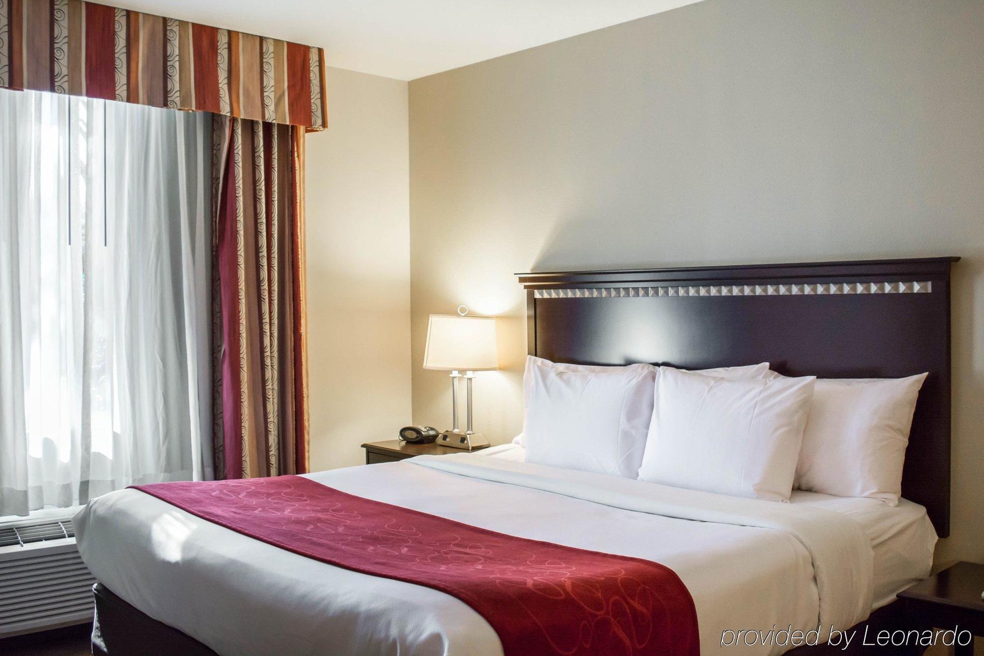 Comfort Tampa Airport North Hotel