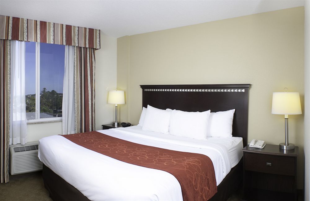 Hotel Comfort Tampa Airport North West Chase