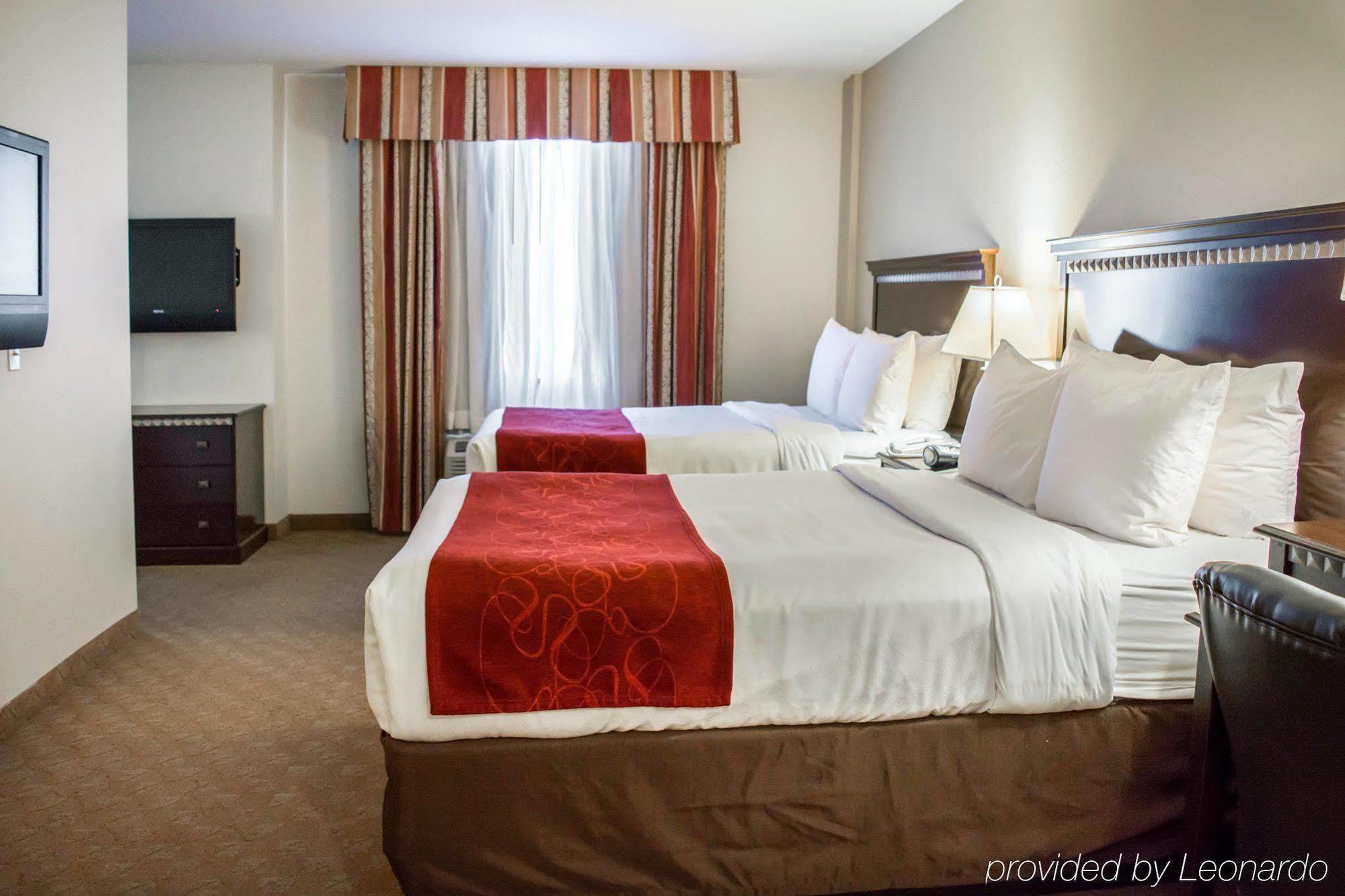 Hotel Comfort Tampa Airport North West Chase
