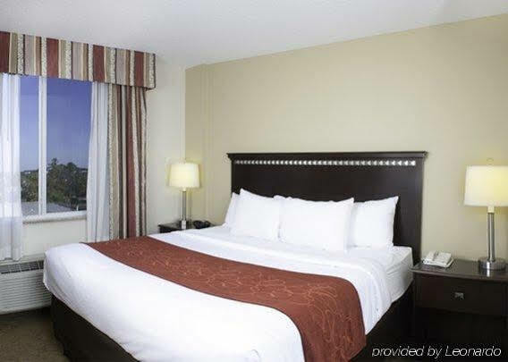 Hotel Comfort Tampa Airport North 3*