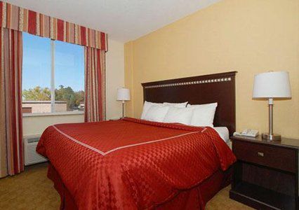 Comfort Tampa Airport North 3* West Chase